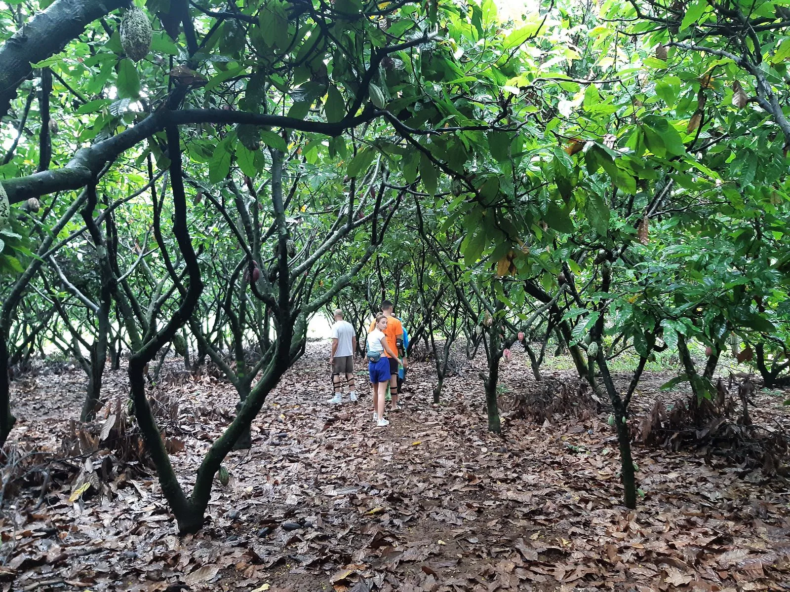 5-Day Dalat ↔ Hoi An photo