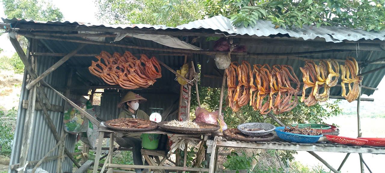 3-Day Dalat to Hoi An Adventure photo